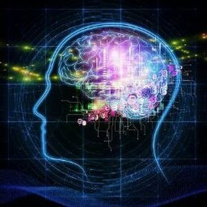 Meet your Posher, Leala